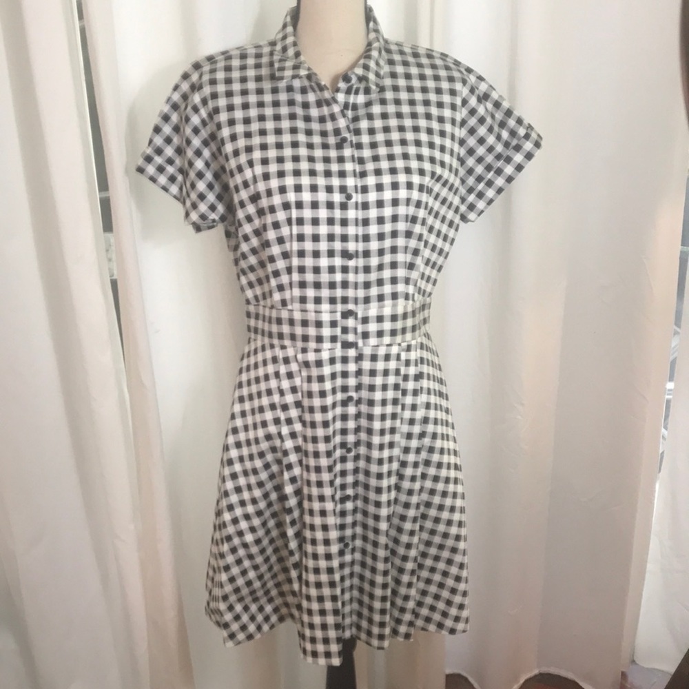 NWOT Cece shirtwaist
